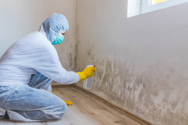 Hvac And Air Duct Mold Remediation inspection of HVAC system in Honey Grove