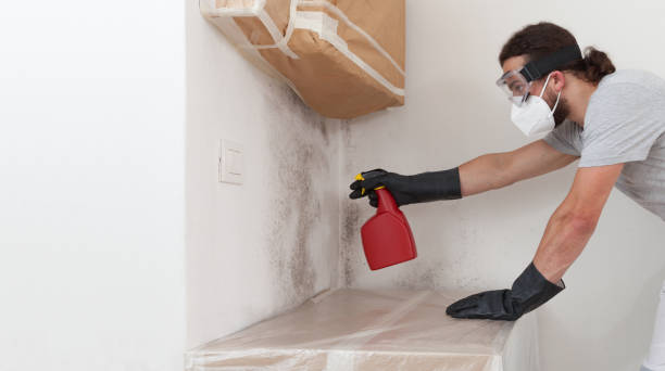 Attic Mold Remediation treatment on roof deck in Honey Grove