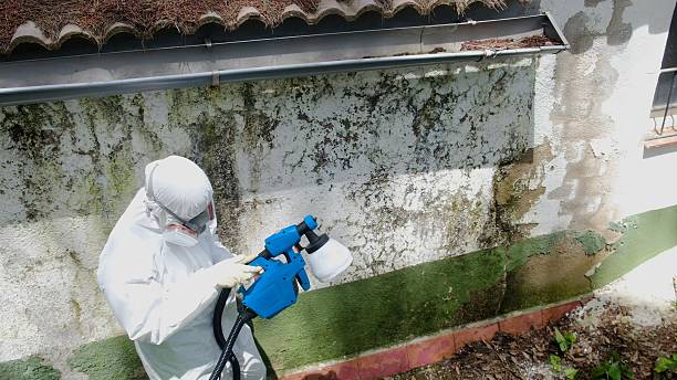 Mold Remediation service in Honey Grove, Honey Grove, PA